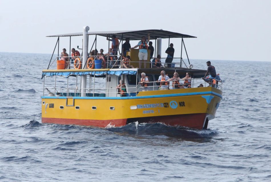 All Inclusive Mirissa Whale and Dolphin Watching Boat Ride - Key Points