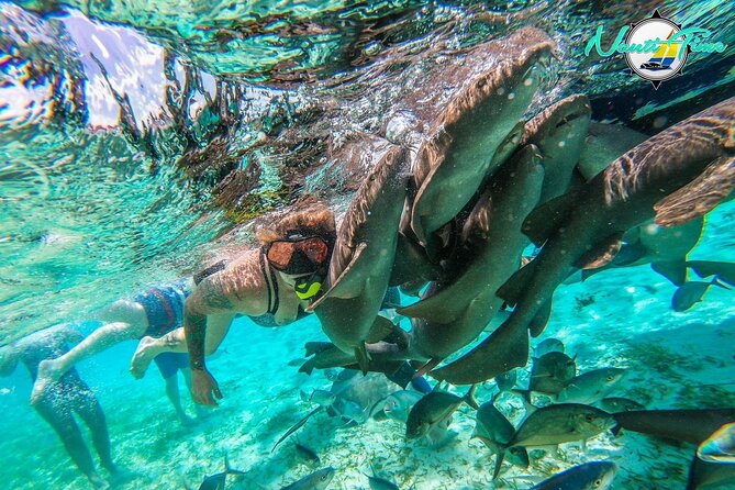 All Inclusive Snorkeling at Hol Chan - Participant Expectations and Fitness Level