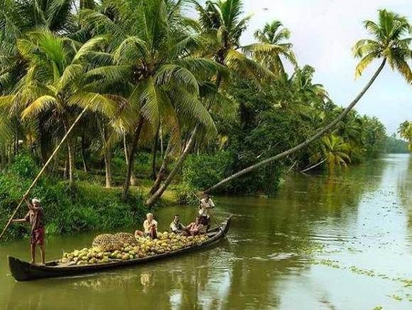 Alleppey / Alappuzha Backwater Canoe (Shikara) Cruise - Activities and Experience