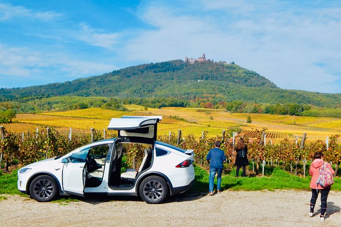 Alsace Discovery Private Tour With Local Villages & Castles - Pricing and Booking Information