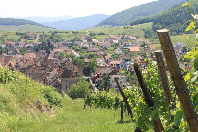 Alsace Wine Route Small Group Half-Day Tour With Tasting From Strasbourg - Customer Experience