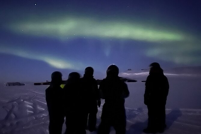 Alta Small-Group Northern Lights Snowmobile Tour - Tour Highlights