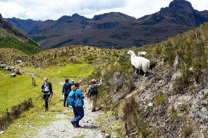 Amazing Cajas National Park Tour From Cuenca - Tour Inclusions and Overview