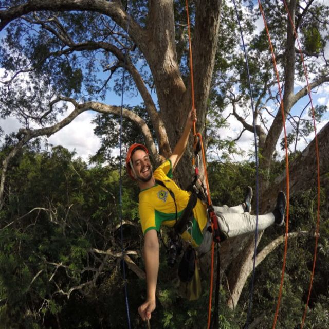 Amazon Jungle 3-Hour Tree Climbing Activity - Activity Features