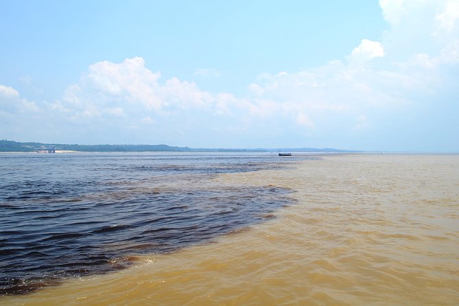 Amazon Negro River Half-Day Expedition Tour - Traveler Reviews and Photos