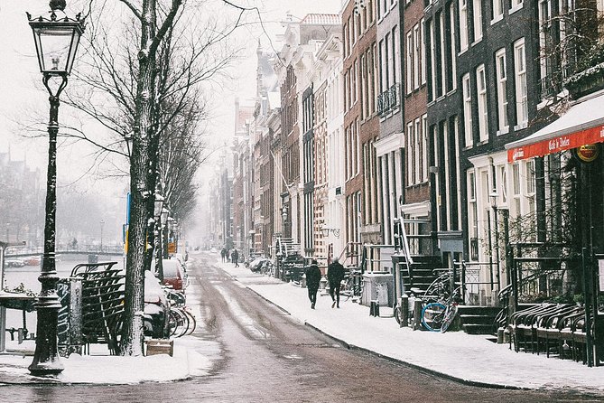 Amsterdam Christmas Tour With a Local Guide: Private & Custom - End Point Logistics and Accessibility