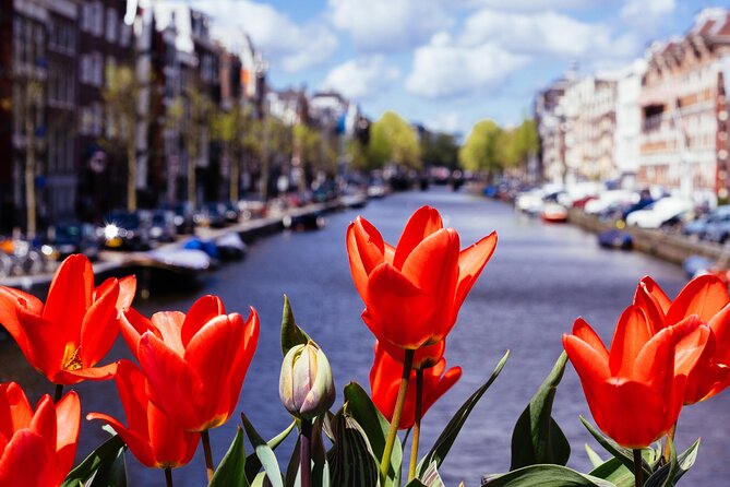 Amsterdam Highlights Self Guided Scavenger Hunt and Walking Tour - Inclusions Details