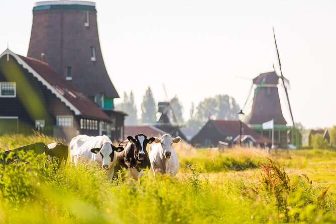 Amsterdam Volendam and Zaanse Schans Windmills Tour (Mar ) - Whats Included in the Tour