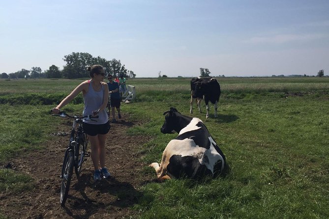 Amsterdams Countryside Half-Day Bike Tour in Small Group - Led by Knowledgeable Guides