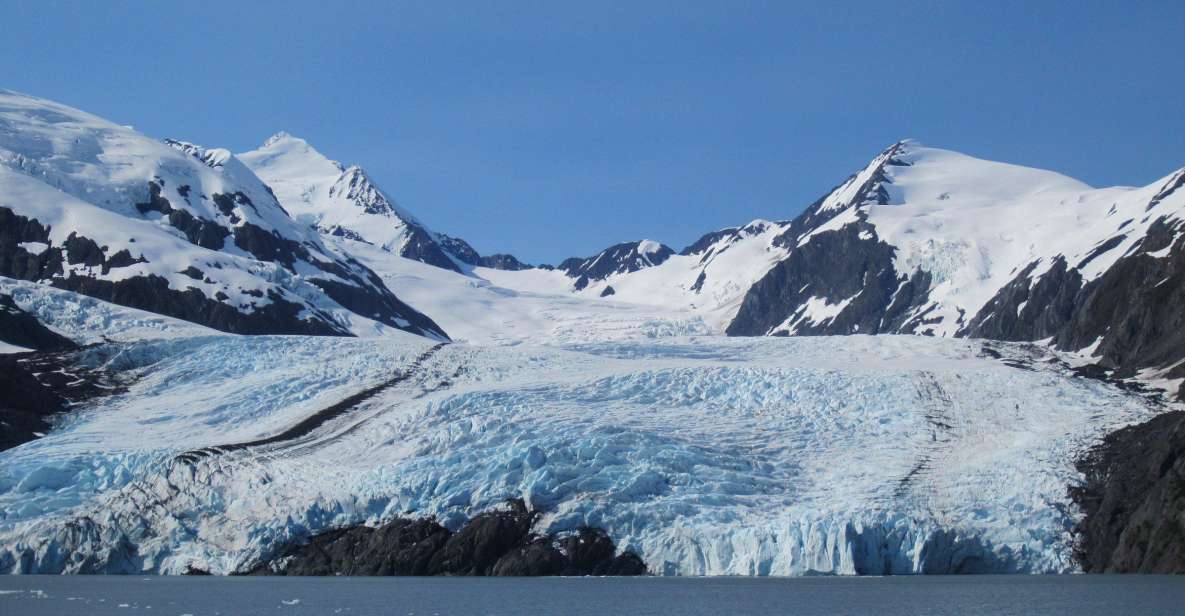 Anchorage: Glacier and Wildlife Explorer Cruise - Highlights of the Activity