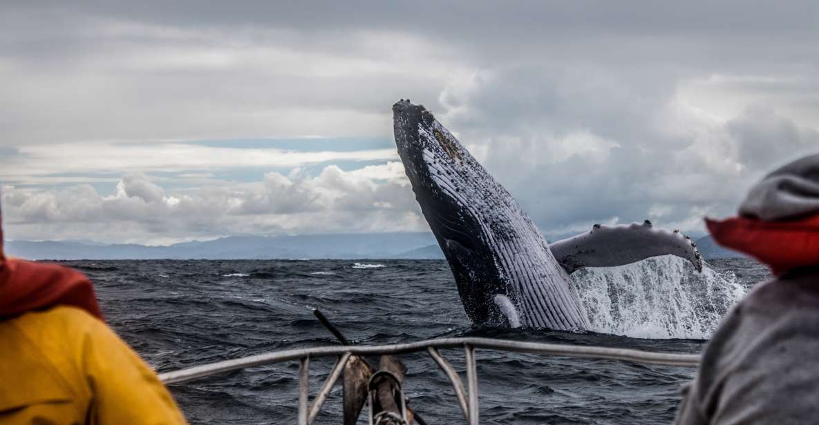 Anchorage: Kenai Fjords & Denali National Park 5 Day Tour - General Experience