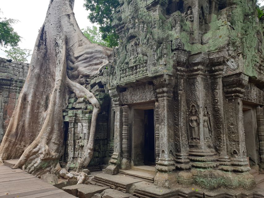 Angkor Sunrise, Taprohm and Angkor Thom. - Exploring Taprohm Temple