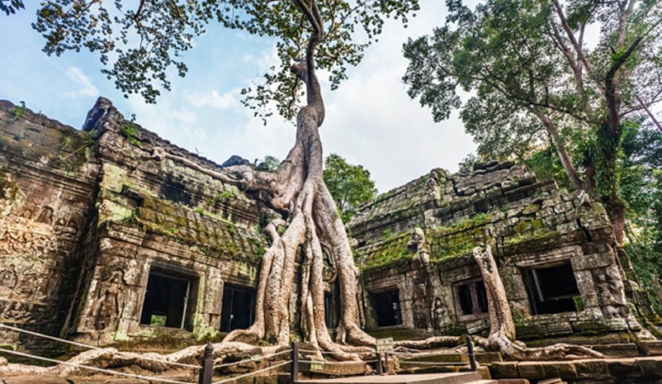 Angkor Wat Sunrise Small Tour - Tour Experience Highlights at Angkor Wat