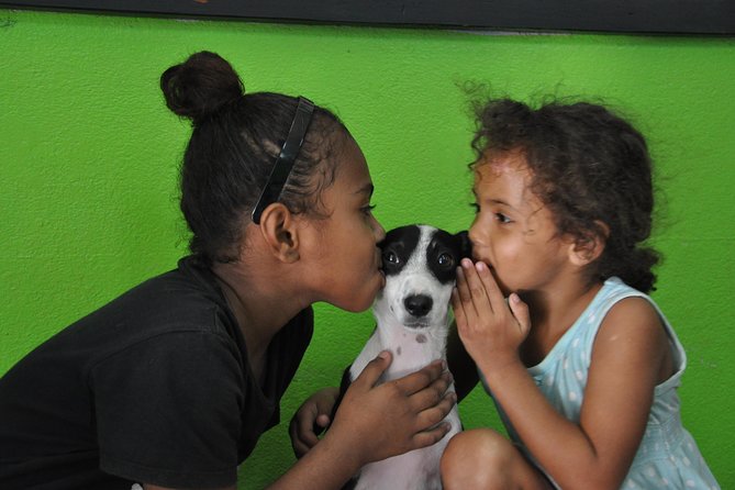 Animals Fiji Nadi Clinic Visit  - Viti Levu - Animal Welfare Initiatives