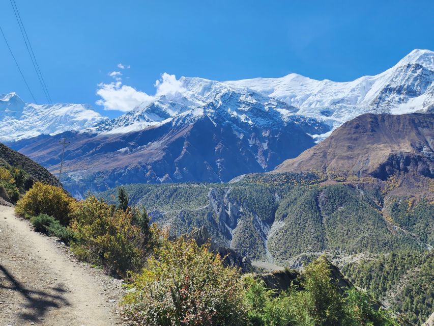 Annapurna Circuit Trek- Immerged in the Nature - Experience Highlights