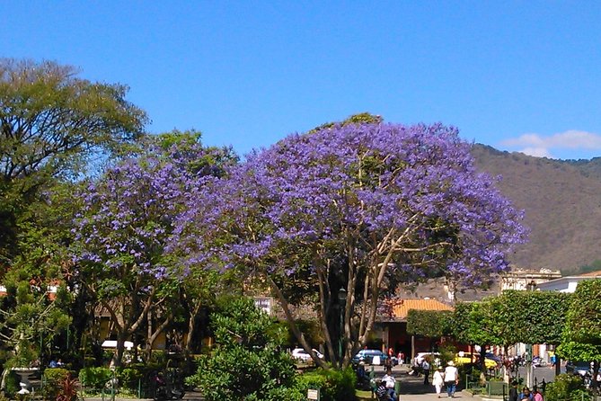 Antigua Walking Tour Morning and Afternoon - Morning Tour Highlights