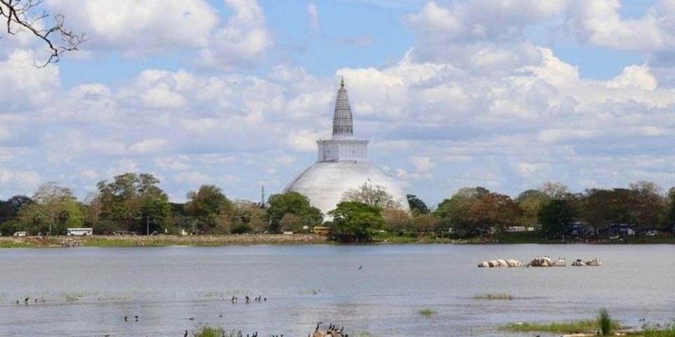 Anuradhapura: Sacred Kingdom Exploring Tour by Tuk-Tuk! - Booking Information