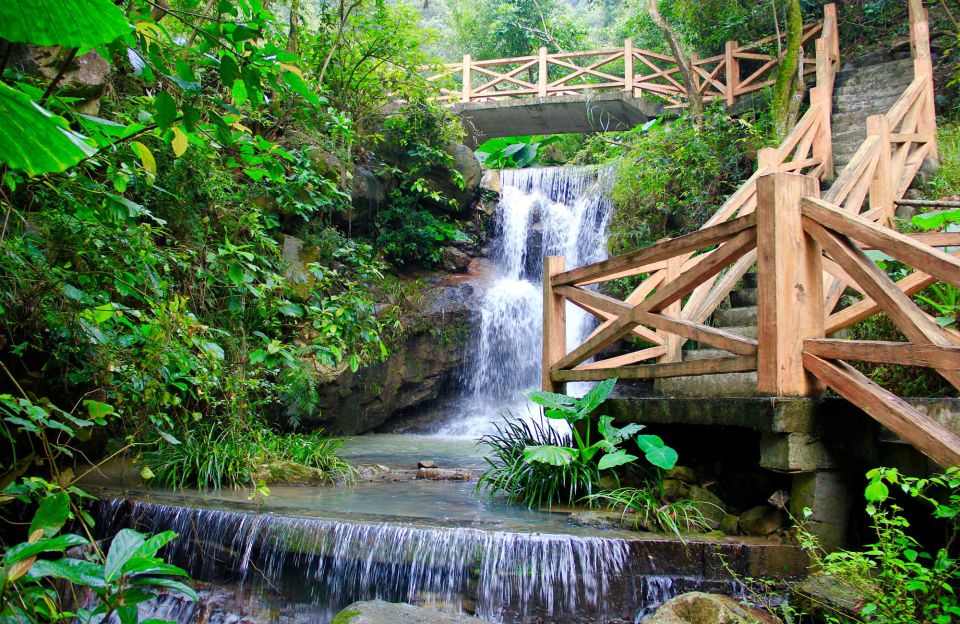 Anxi Tea Garden and Hong'En Rock From Xiamen - Experience