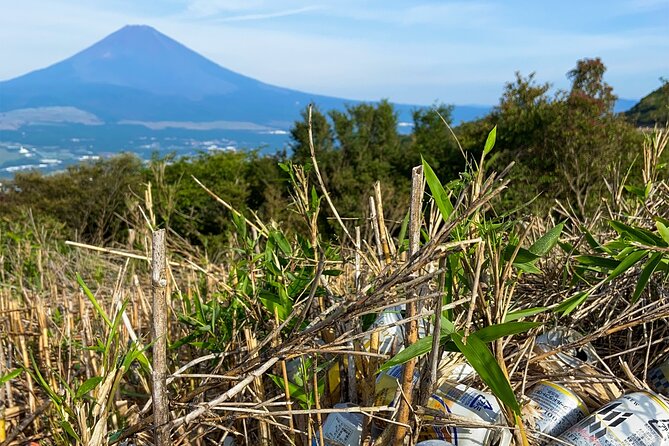 Aokigahara Nature Conservation Full-Day Hiking Tour - Meeting Point Details
