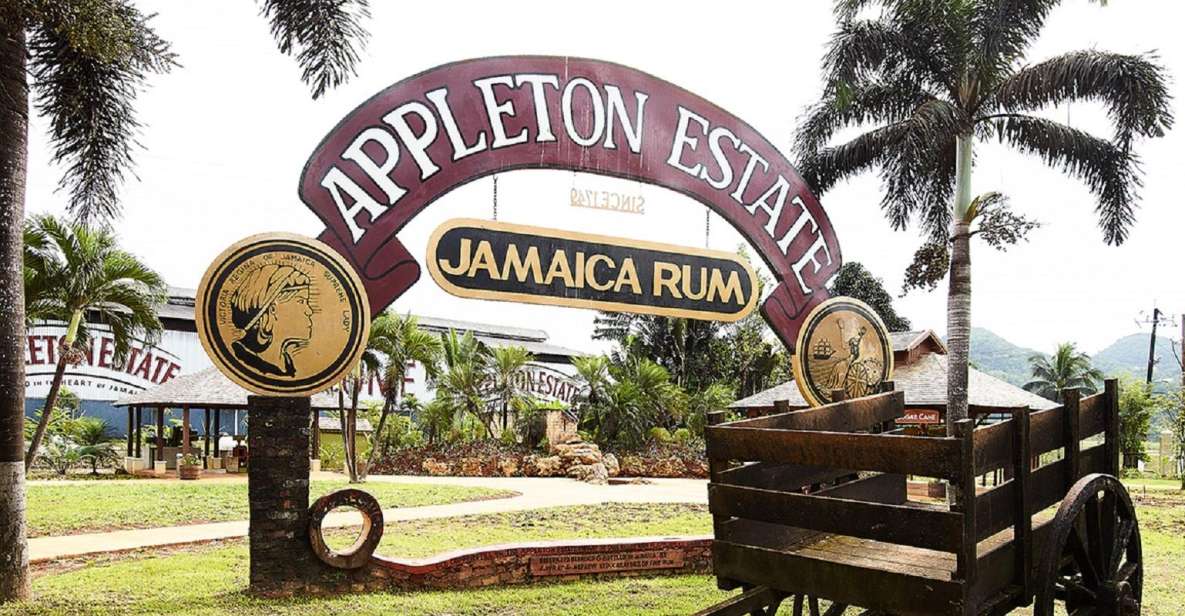 Appleton Estate Rum Tour - Distillery Exploration and Tasting Experience