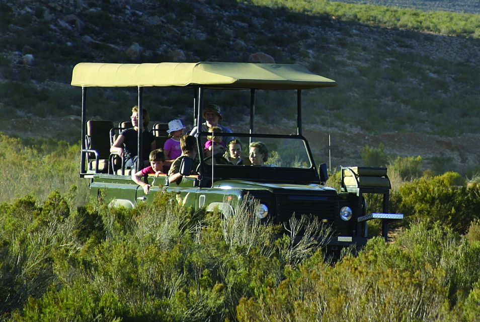 Aquila Reserve: Private Day Tour With Shared Game Drive - Tour Experience