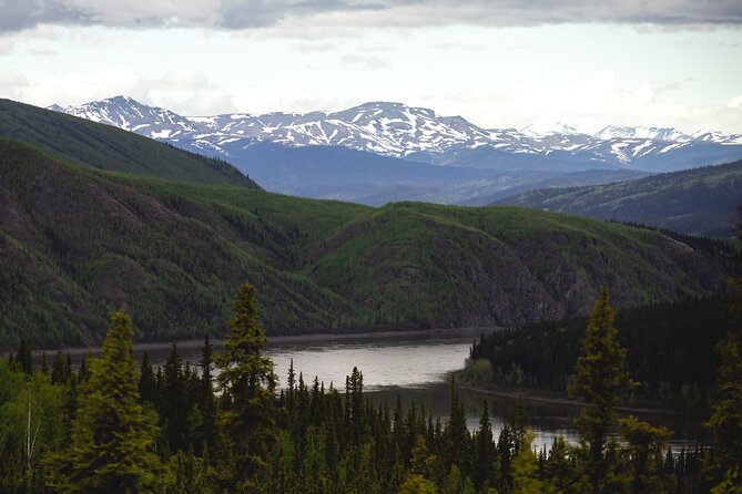 Arctic Circle Day Trip From Fairbanks With Transportation - Booking Information