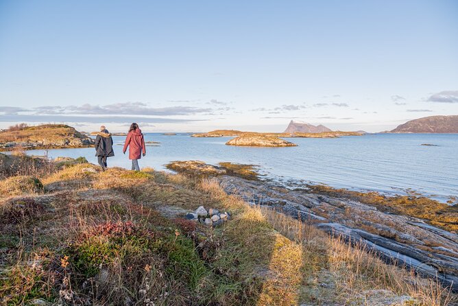 Arctic Roadtrip: Fjords With Scenic Picnic Sightseeing - Culinary Delights on the Go