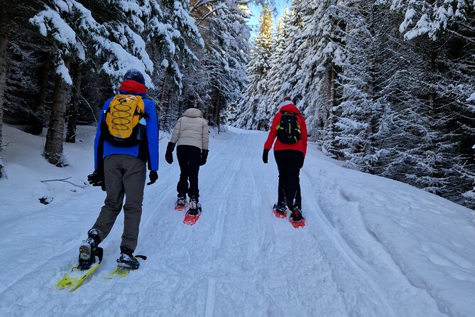 Arctic Snowshoe Hike in Norway - Operator Information and Policies