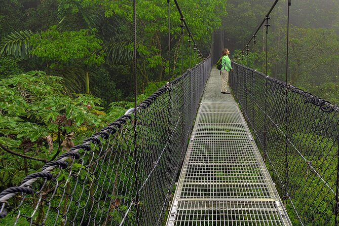 Arenal Hanging Bridges, Guided Walk, Hot Springs Optional - Wildlife Spotting
