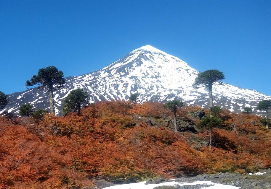 Ascent to Lanin Volcano, 3,776masl, From Pucón - Experience Highlights