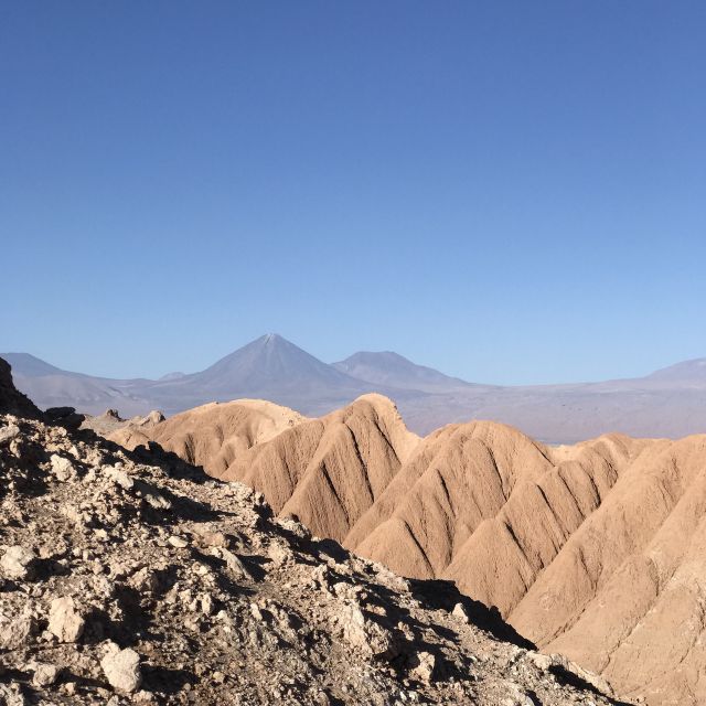 Atacama Desert and Magic Bus Visit - Experience Highlights