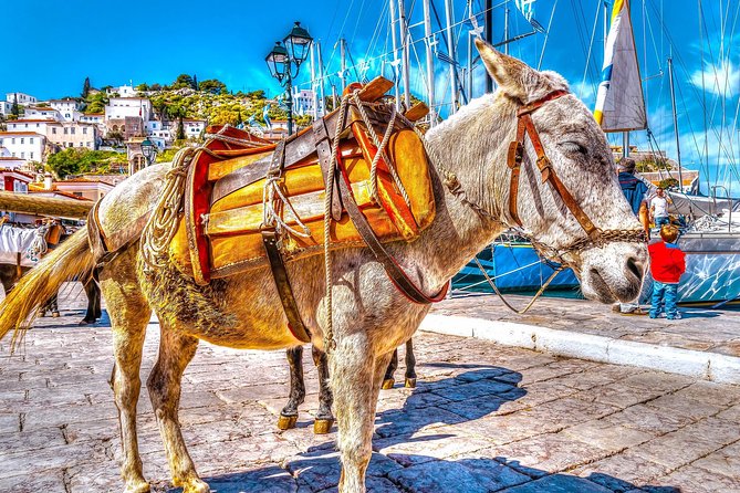 Athens: 1-Day Cruise to Poros, Hydra & Aegina Islands With Lunch - Itinerary Highlights