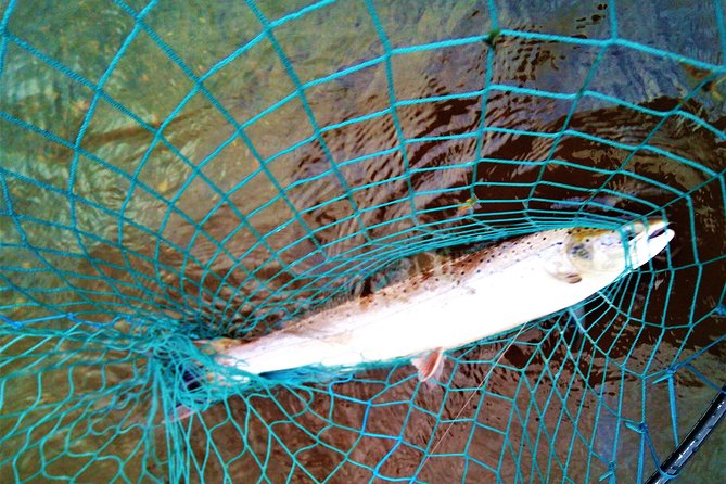 Atlantic Salmon & Sea Trout Fishing.Connemara.English/French Speaking Ghillie - Experience Details and What to Bring