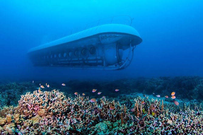 Atlantis Submarine Kona - Hawaii Island - Submarine Dive Experience