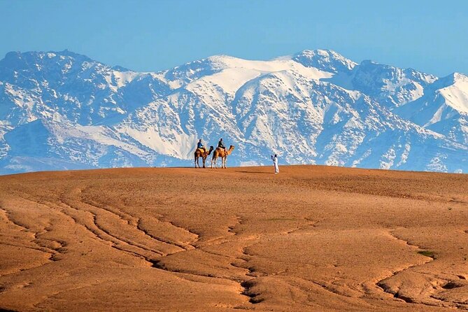 Atlas Mountains and 3 Valley & Desert Agafay Day Trip Marrakech - Pricing and Discounts