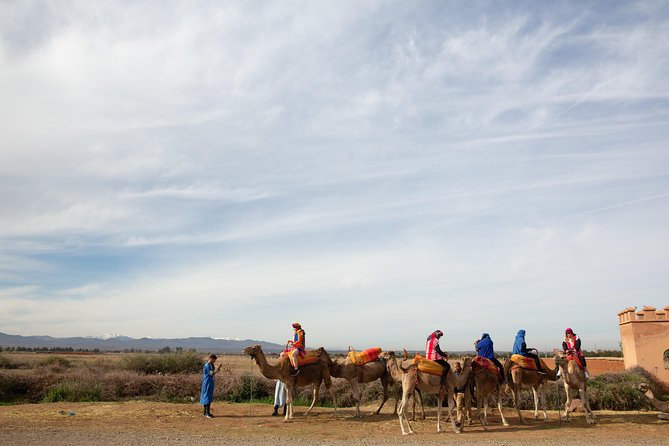 Atlas Mountains and 3 Valleys & Waterfalls - Camel Ride Marrakech - Review of the Tour Experience