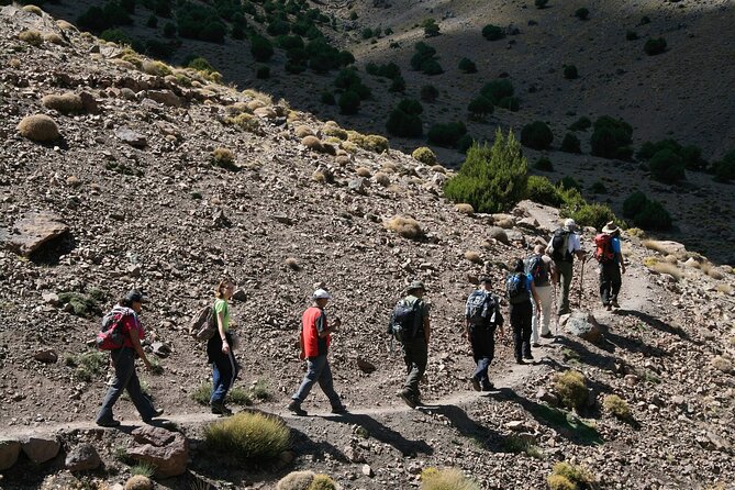 Atlas Mountains Small-Group Trip With Lunch and Afternoon Tea (Mar ) - Inclusions and Costs