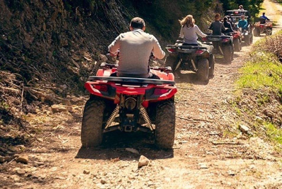 ATV Adventure at Green Island Private Tour From Montego Bay - Experience Highlights