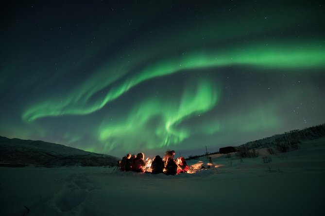 Aurora Hunt Tour With Citizen Science From Tromso - Professional Photos Included - Experience Highlights