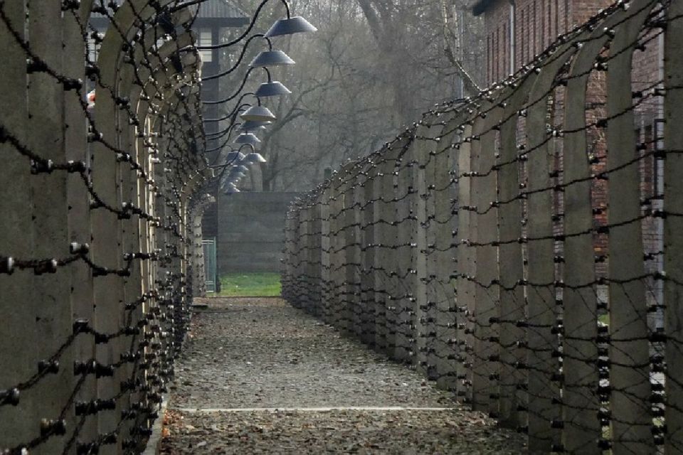 Auschwitz-Birkenau Guided Tour & Transfer From Krakow - Skip-the-Line Ticket and Guide