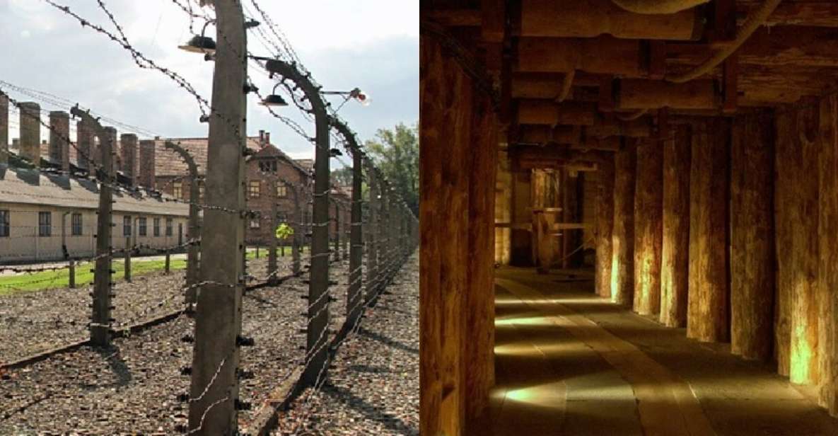 Auschwitz-Birkenau & Salt Mine Tour in One Day From Krakow - Experience Highlights