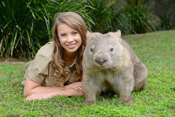 Australia Zoo Day Trip From Brisbane - Visitor Reviews and Testimonials