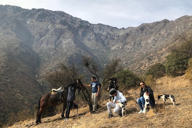 Authentic Andes Adventure: Private Horse Riding and Cheese & Wine - Customer Reviews