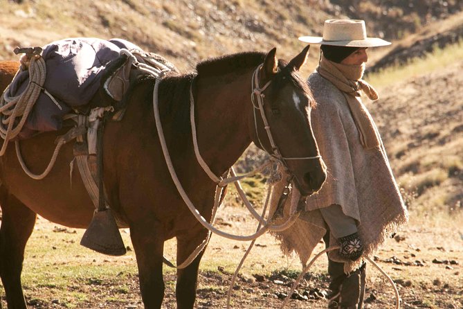 Authentic Horseback Ride With Chilean Cowboys in the Andes Close to Santiago! - Inclusions and Logistics