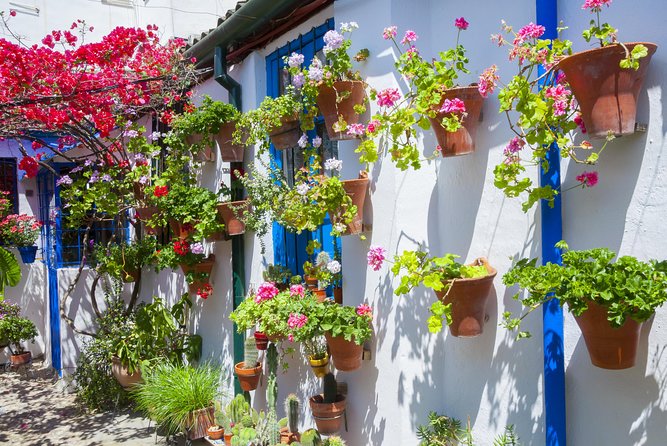 Authentic Patios of Cordoba Guided Tour - Cancellation Policy