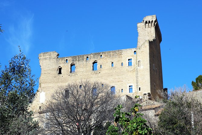 Avignons History, Local Culture & the Wines of Châteauneuf Du Pape Private Tour - Exploring Gourmet Culture in Avignon