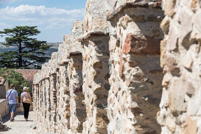 Avila With Walls & Segovia With Alcazar From Madrid - Tour Guides