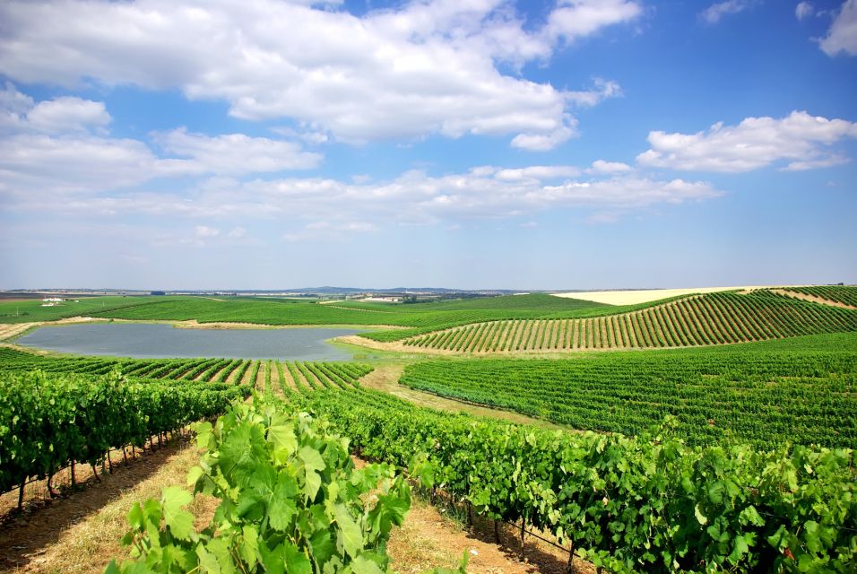Azeitão and Alentejo Wine and Food Tour From Lisbon - Wine Tasting Experience