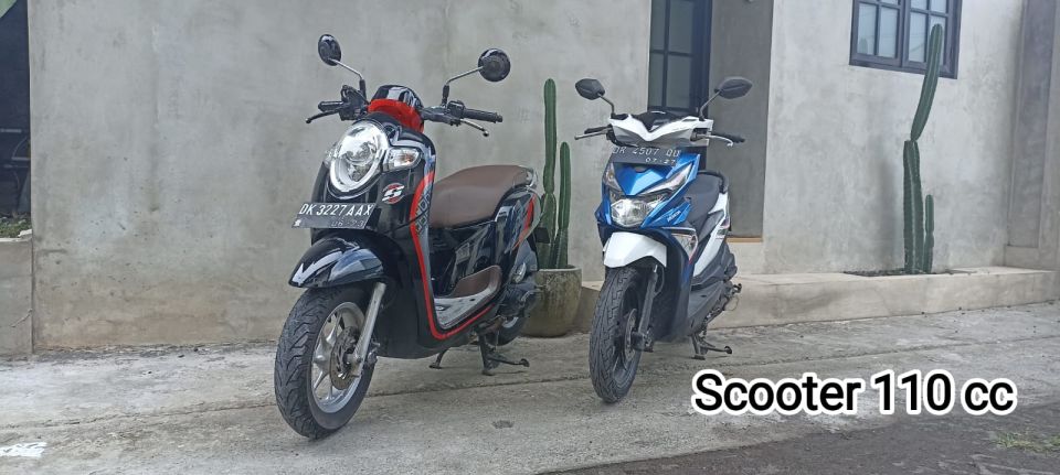 Bali: 2-7 Day 110cc or Nmax 155cc Scooter Rental - Scooter Models Available
