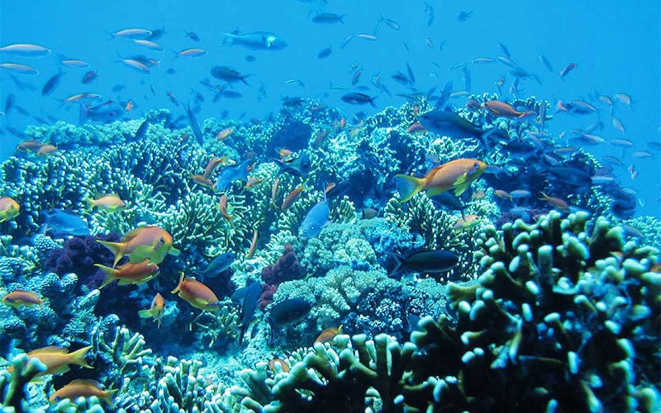 Bali Activities: Snorkeling at Blue Lagoon and Tanjung Jepun - Cancellation Policy